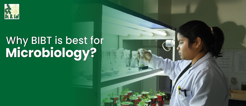 Why BIBT Is Best for Microbiology?